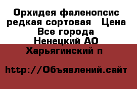 Орхидея фаленопсис редкая сортовая › Цена ­ 800 - Все города  »    . Ненецкий АО,Харьягинский п.